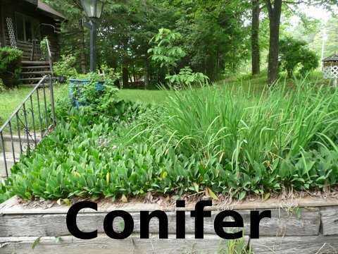 1236 Lewiston Road New Gloucester, ME 04260 - Photo 23 of 27 Yard/Garden.