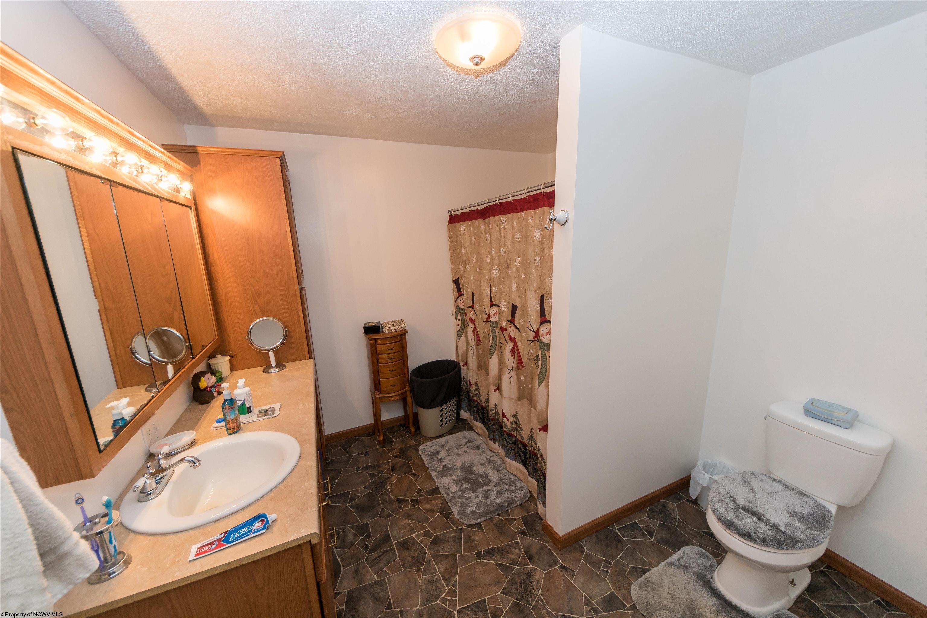 3078 Jakes Run Road Rivesville, WV 26588 - Photo 9 of 29 Gallery Image 9