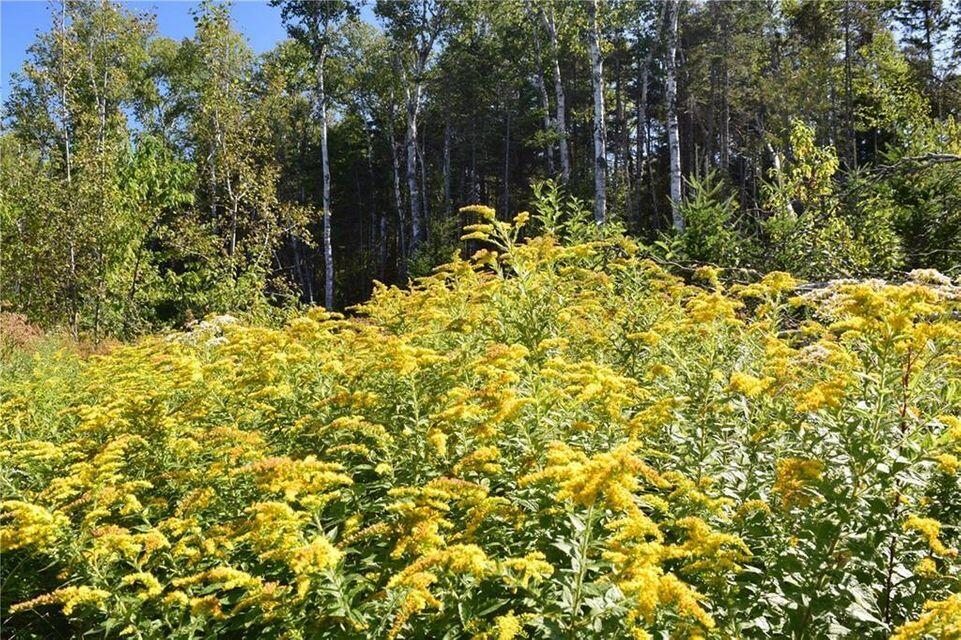 M8-l53a North Lubec Road Lubec, ME 04652 - Photo 21 of 37 21