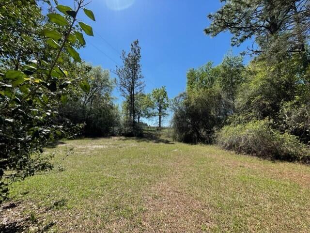 1202 Brake Road Westville, FL 32464 - Photo 17 of 46 17