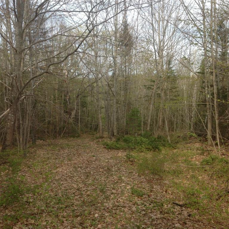 0 Ward Prospect, ME 04981 - Photo 1 of 3 Photo