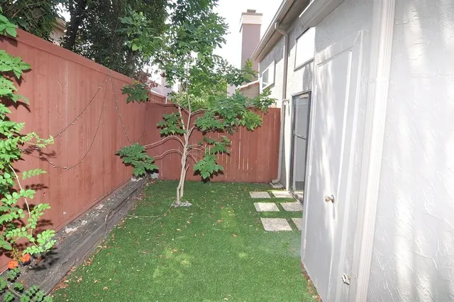 a backyard with potted plants