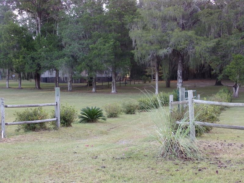276 Northeast Pine Ridge Ranch Road Madison, FL 32340 - Photo 8 of 25 Gallery Image 8