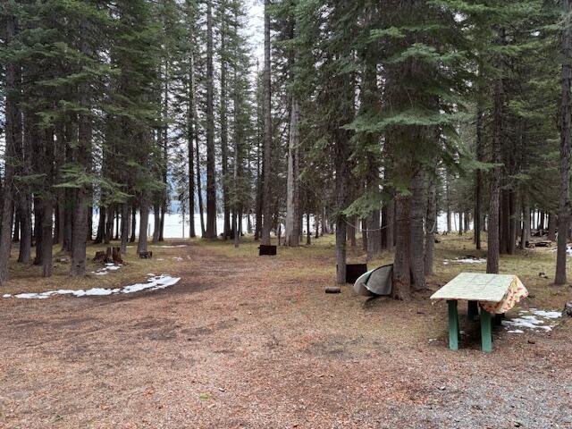 80 Diamond Lake Loop Chemult, OR 97731 - Photo 31 of 36 a view of a park with large trees