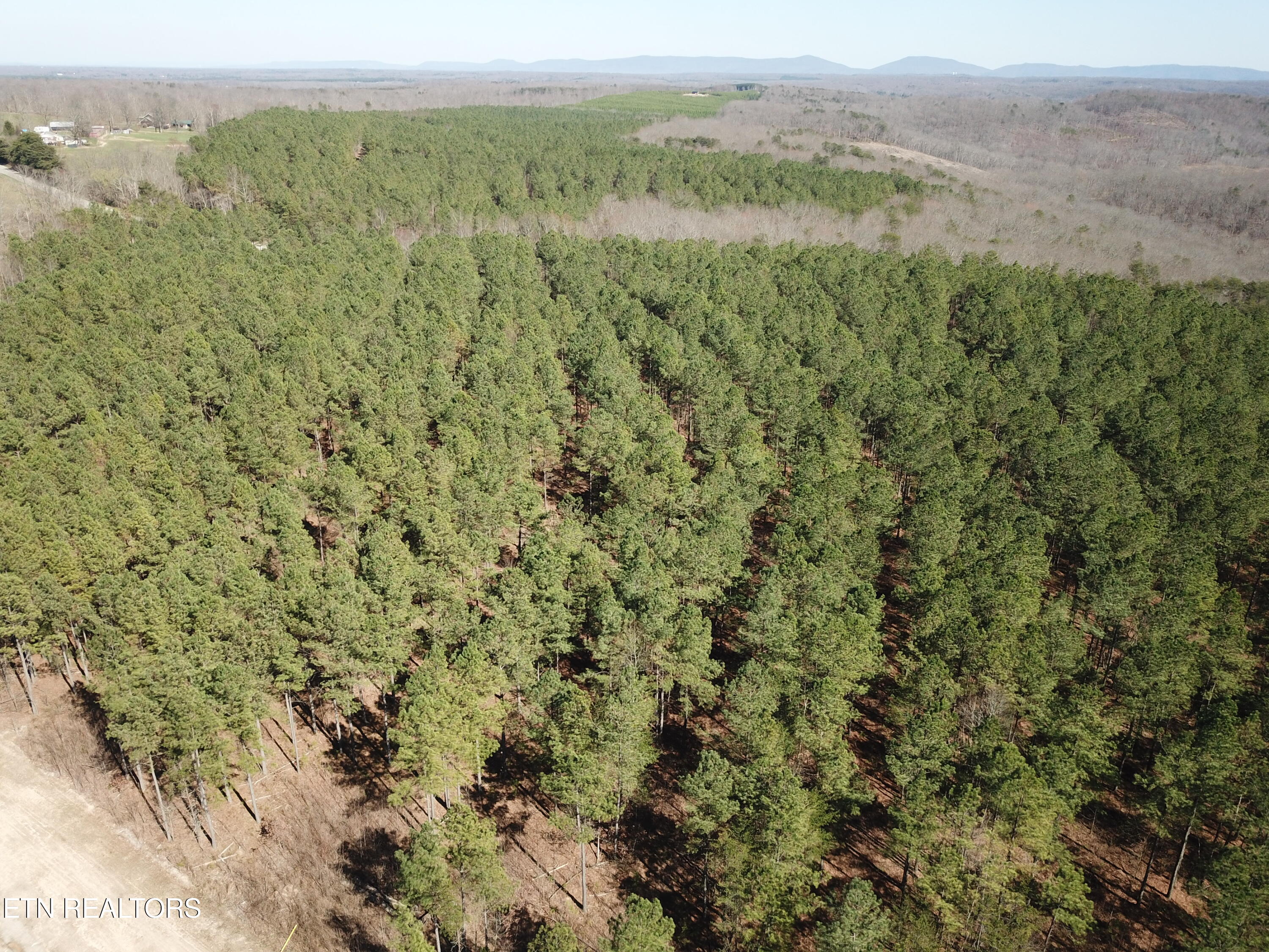 Buckridge Road Crossville, TN 38572 - Photo 9 of 26 DJI_0067