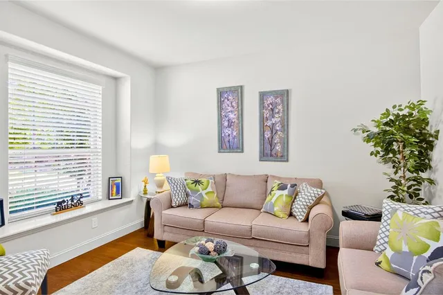 a living room with furniture and a potted plant