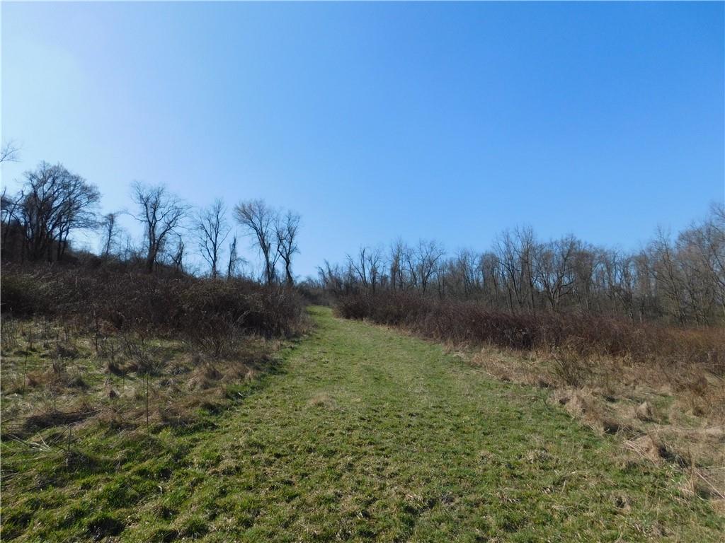 425 Vaneal Road Washington, PA 15301 - Photo 23 of 24 a view of a yard with a tree
