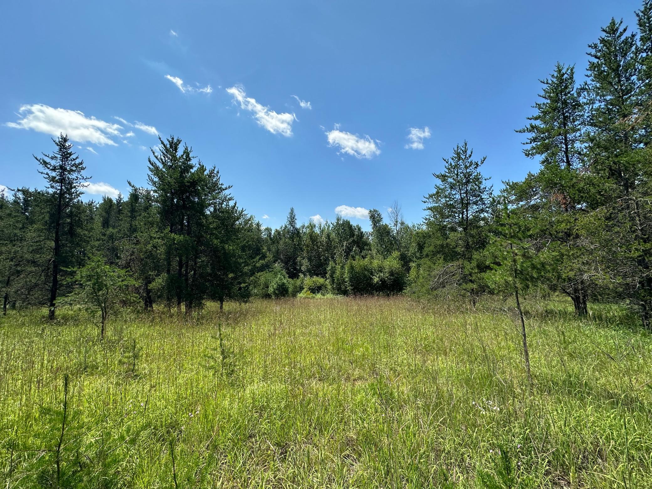 Xxx Cemetery Road Sturgeon Lake, MN 55783 - Photo 1 of 1 Gallery Image 1