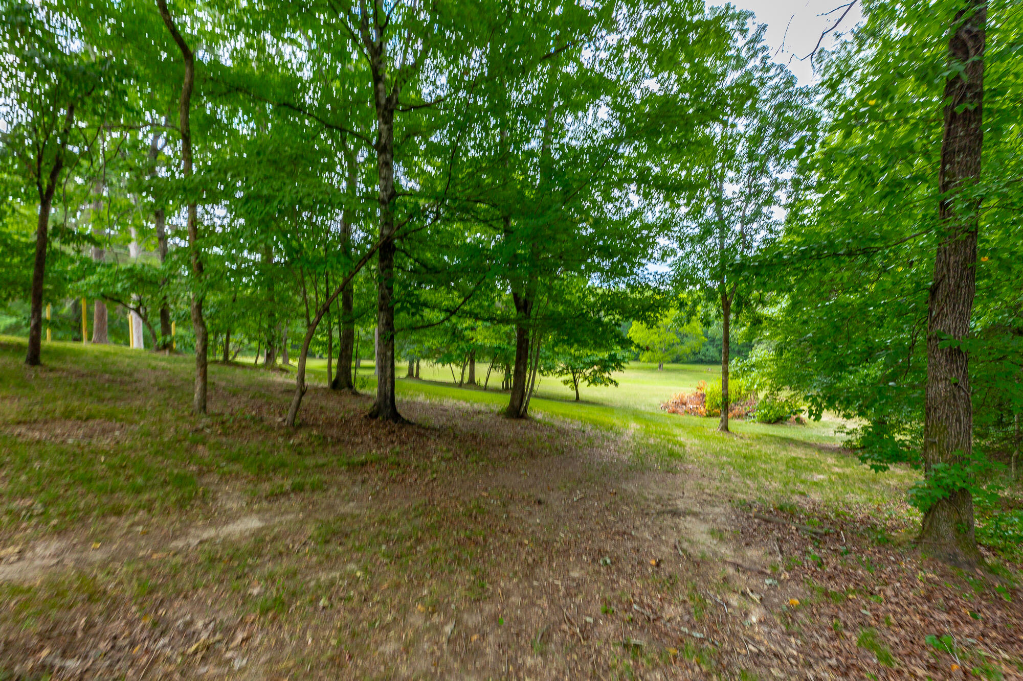 8314 Fair Oaks Road Hixson, TN 37343 - Photo 106 of 126 8314 Fair Oaks Road HD-142