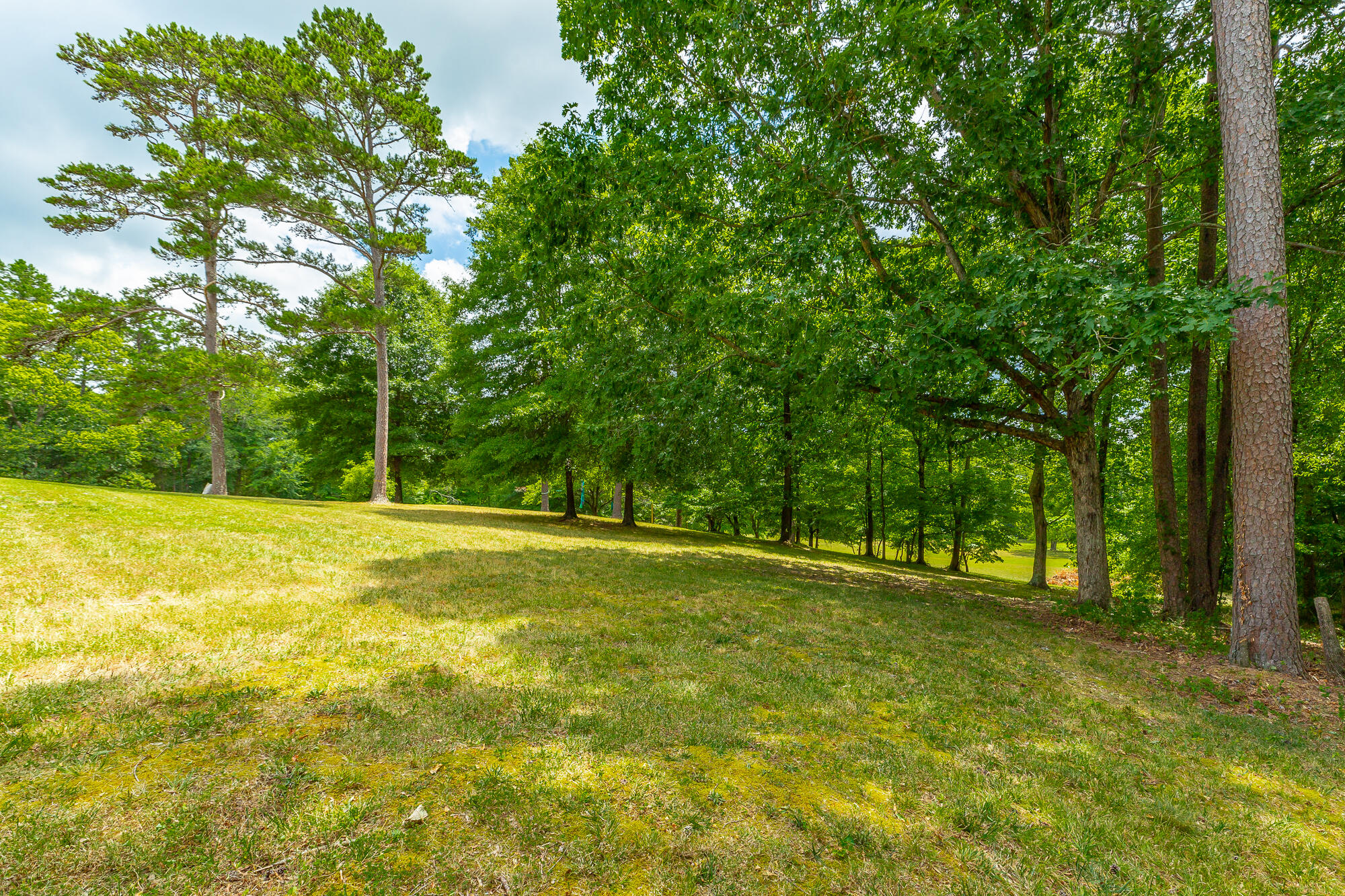 8314 Fair Oaks Road Hixson, TN 37343 - Photo 99 of 126 8314 Fair Oaks Road HD-149