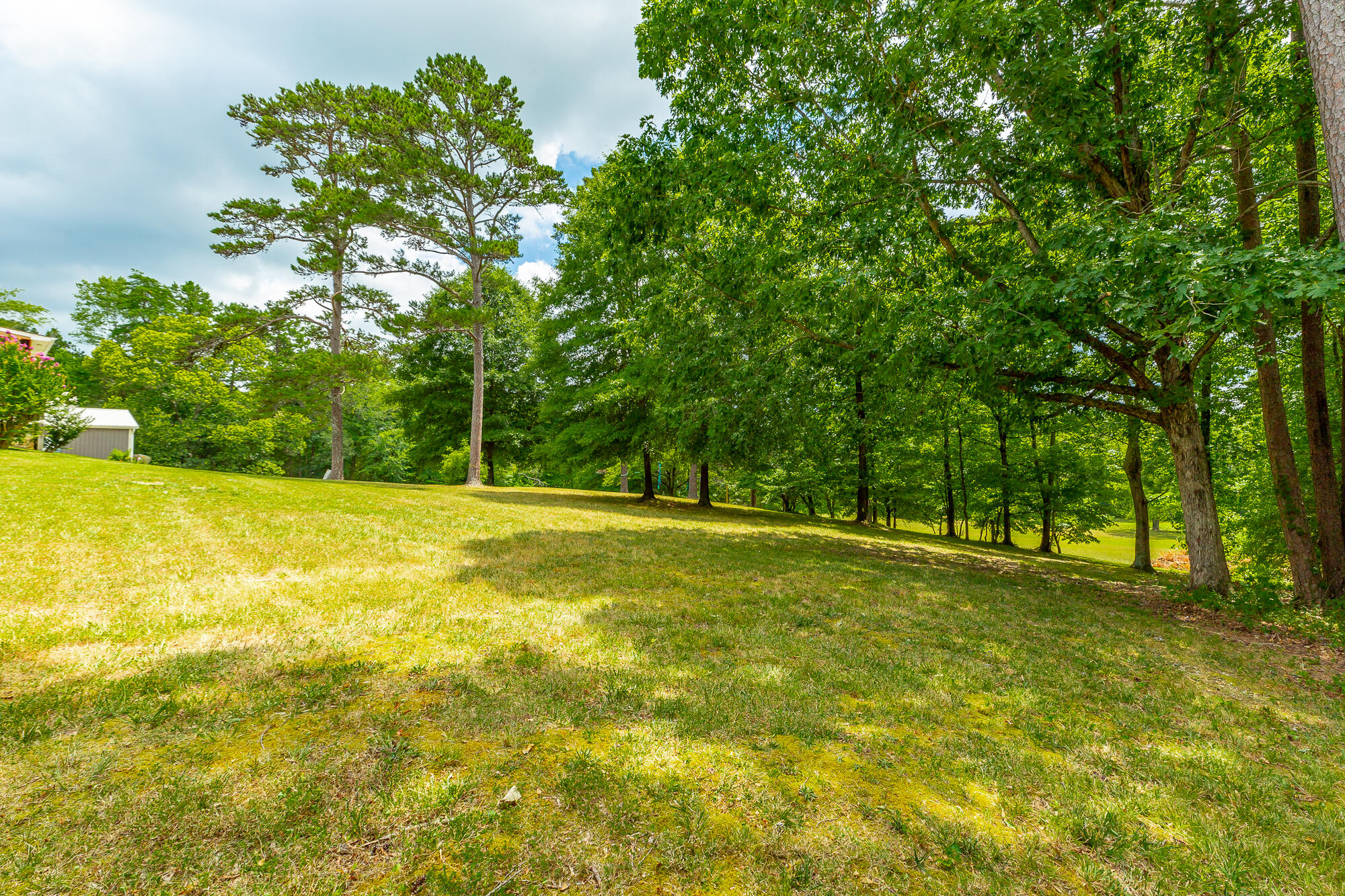 8314 Fair Oaks Road Hixson, TN 37343 - Photo 100 of 126 8314 Fair Oaks Road HD-148