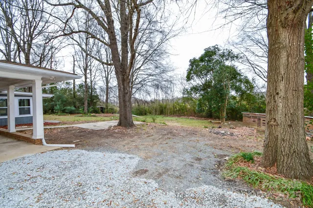 a view of a yard with large tree