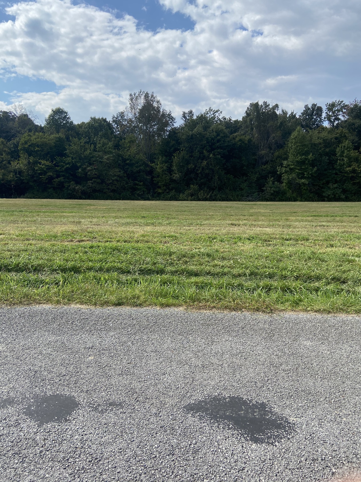 0 Bethany Church Road Springfield, TN 37172 - Photo 11 of 17 a view of a yard with a lake view