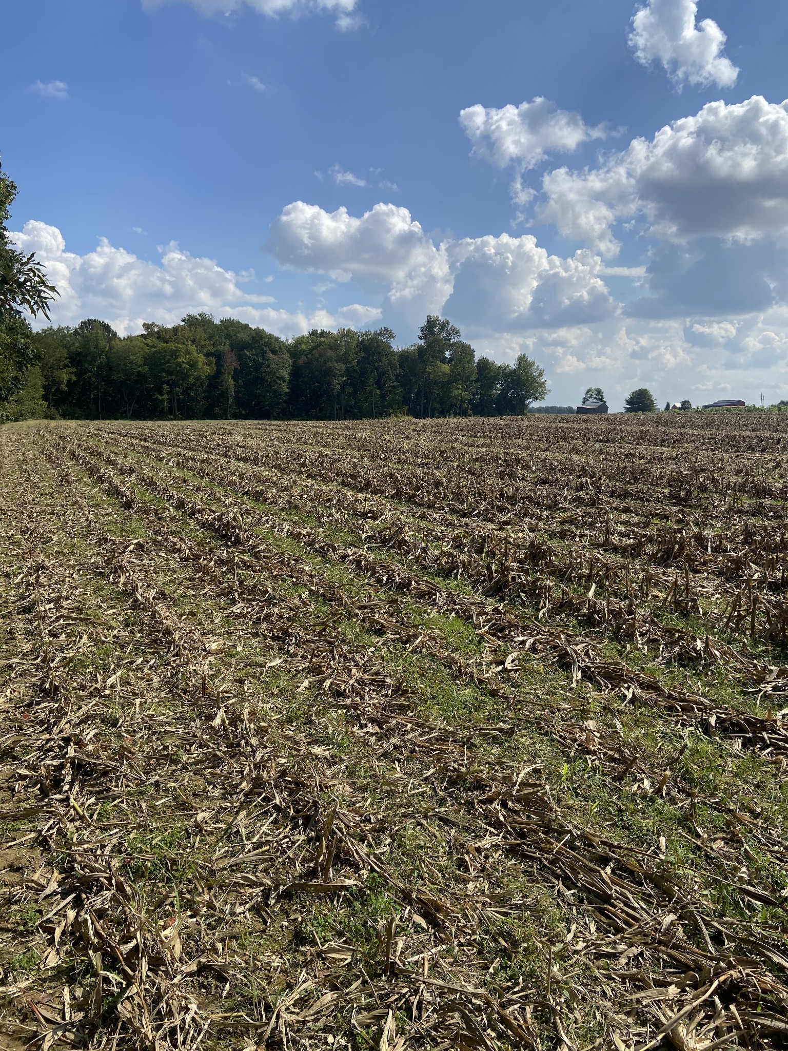 0 Bethany Church Road Springfield, TN 37172 - Photo 3 of 17 a view of a lake