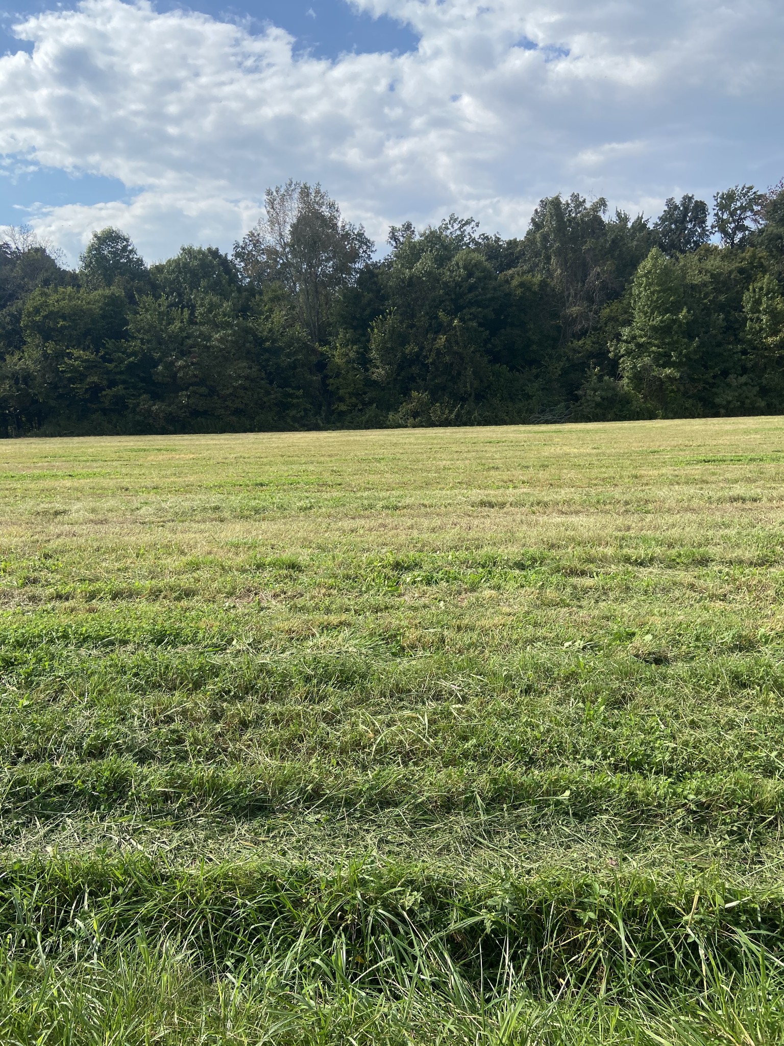 0 Bethany Church Road Springfield, TN 37172 - Photo 10 of 17 a view of a field with a yard