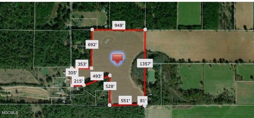 20.3-ac Union Church Road Lucedale, MS 39452 - Photo 2 of 6 RealistReport_Fotor