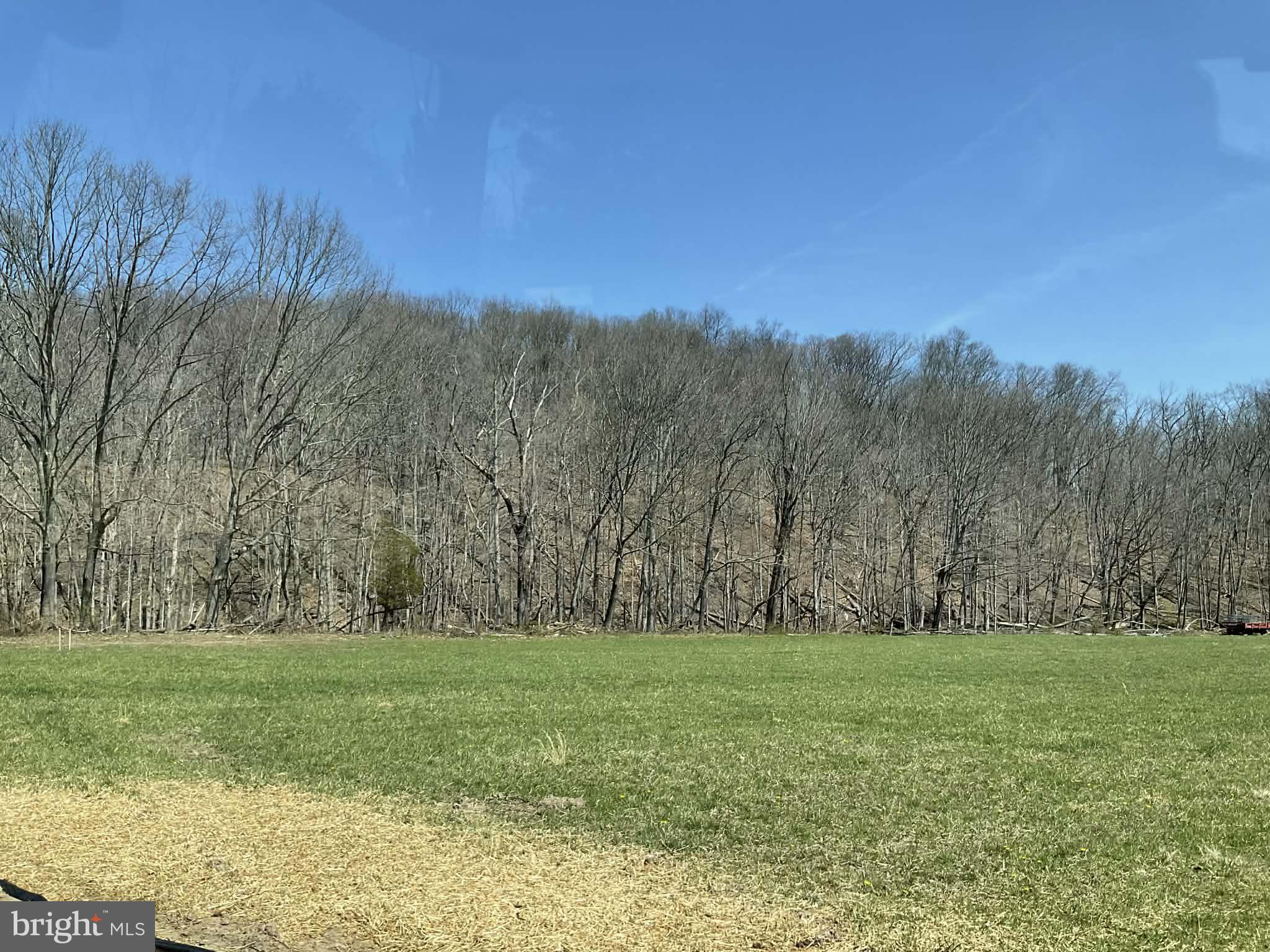 a view of a field with trees in background