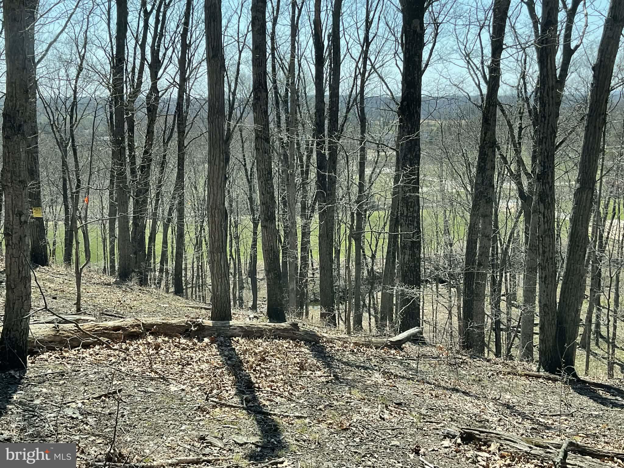 0 Lonely Road Sellersville, PA 18960 - Photo 2 of 9 a view of a backyard with trees