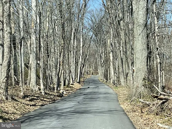 a view of a backyard of the house