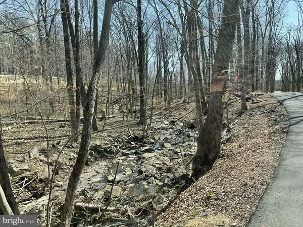 a view of a yard with trees
