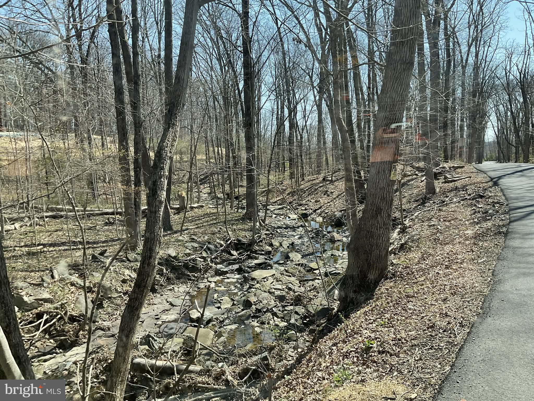 0 Lonely Road Sellersville, PA 18960 - Photo 5 of 9 a view of a yard with trees