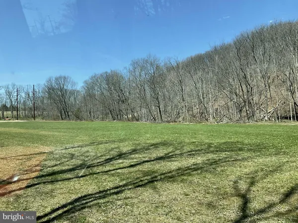 a view of a field with trees