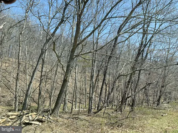 $979,900 | 0 Lonely Road, Sellersville, PA 18960