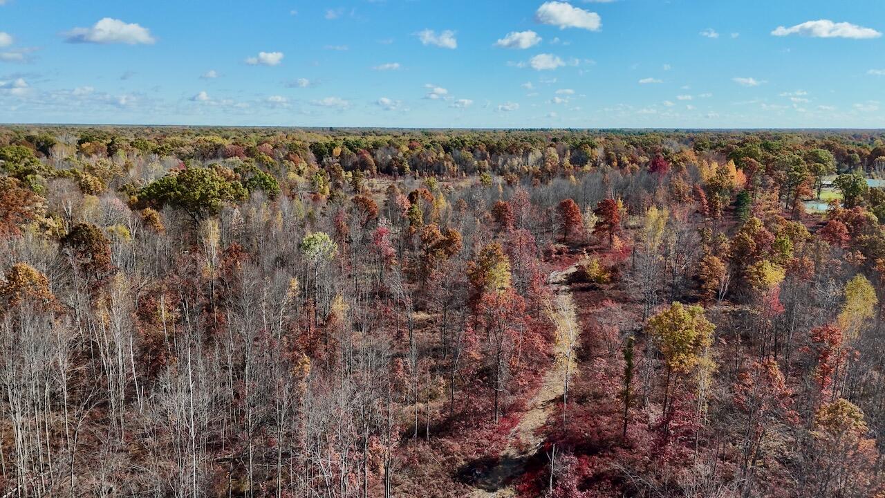 West Beamish Road Sanford, MI 48657 - Photo 3 of 27