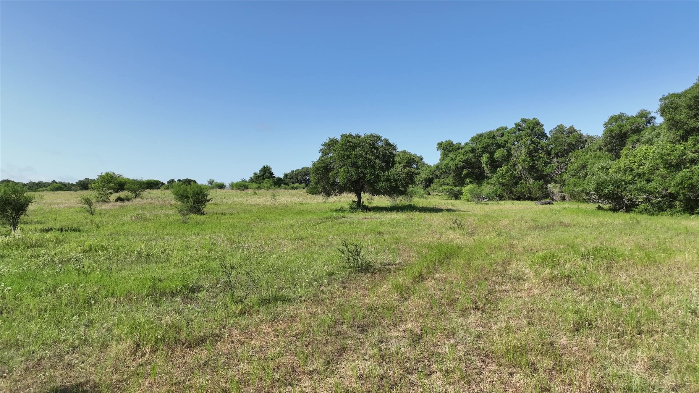 1649 County Road 209 Weimar, TX 78962 - Photo 5 of 27 a big yard with lots of green space and fog