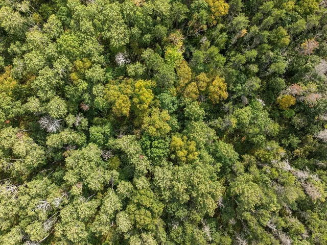 $149,000 | Lot B Lot B Sandbar Lane, Merrifield, MN 56465