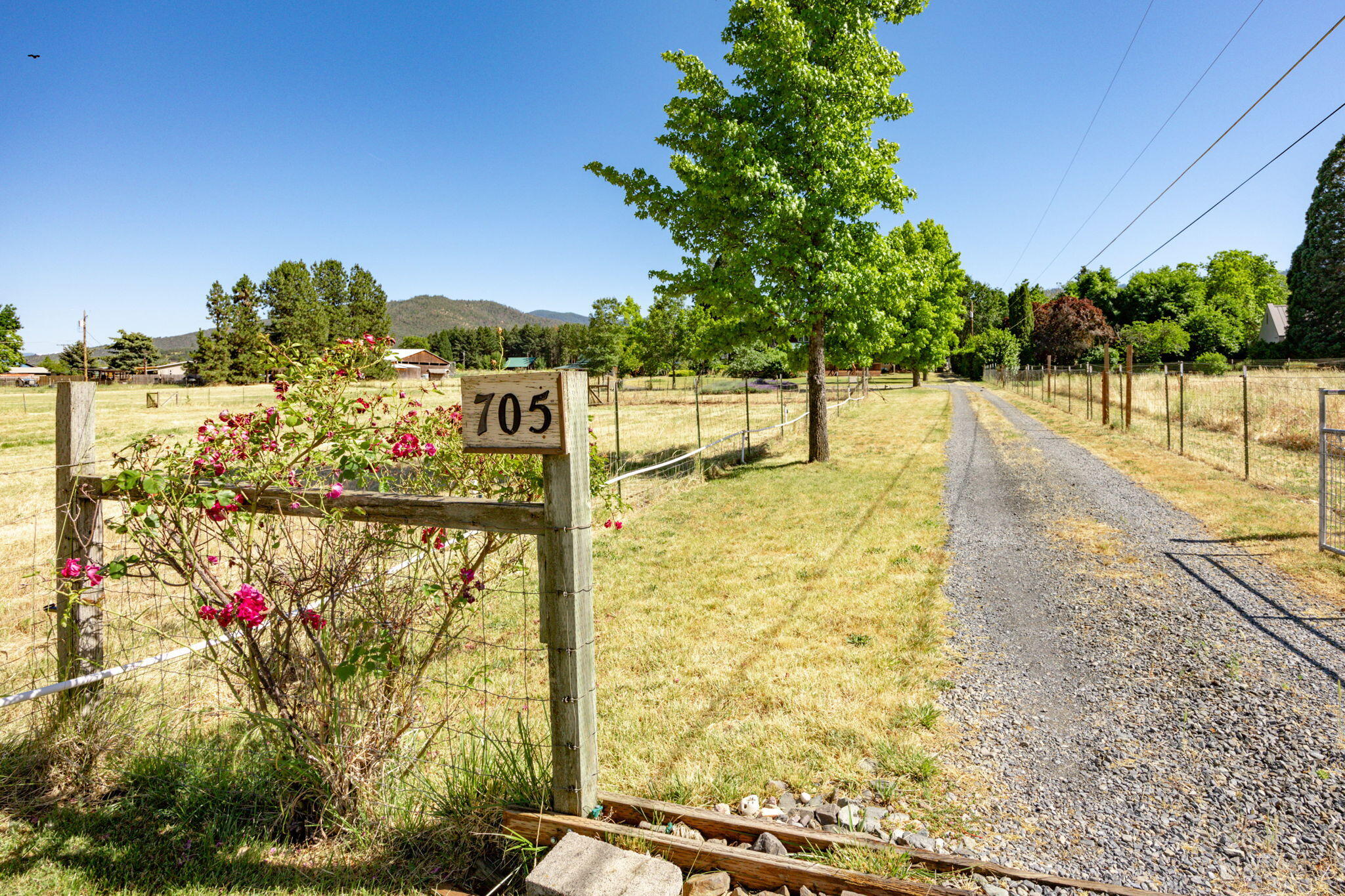 705 Foss Road Talent, OR 97540 - Photo 9 of 93 Driveway