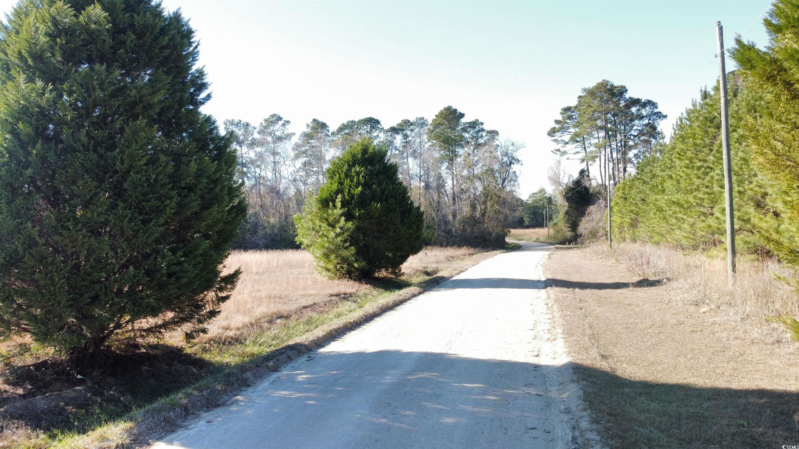 Tbd Powell Lane Loris, SC 29569 - Photo 1 of 8 Gallery Image 1