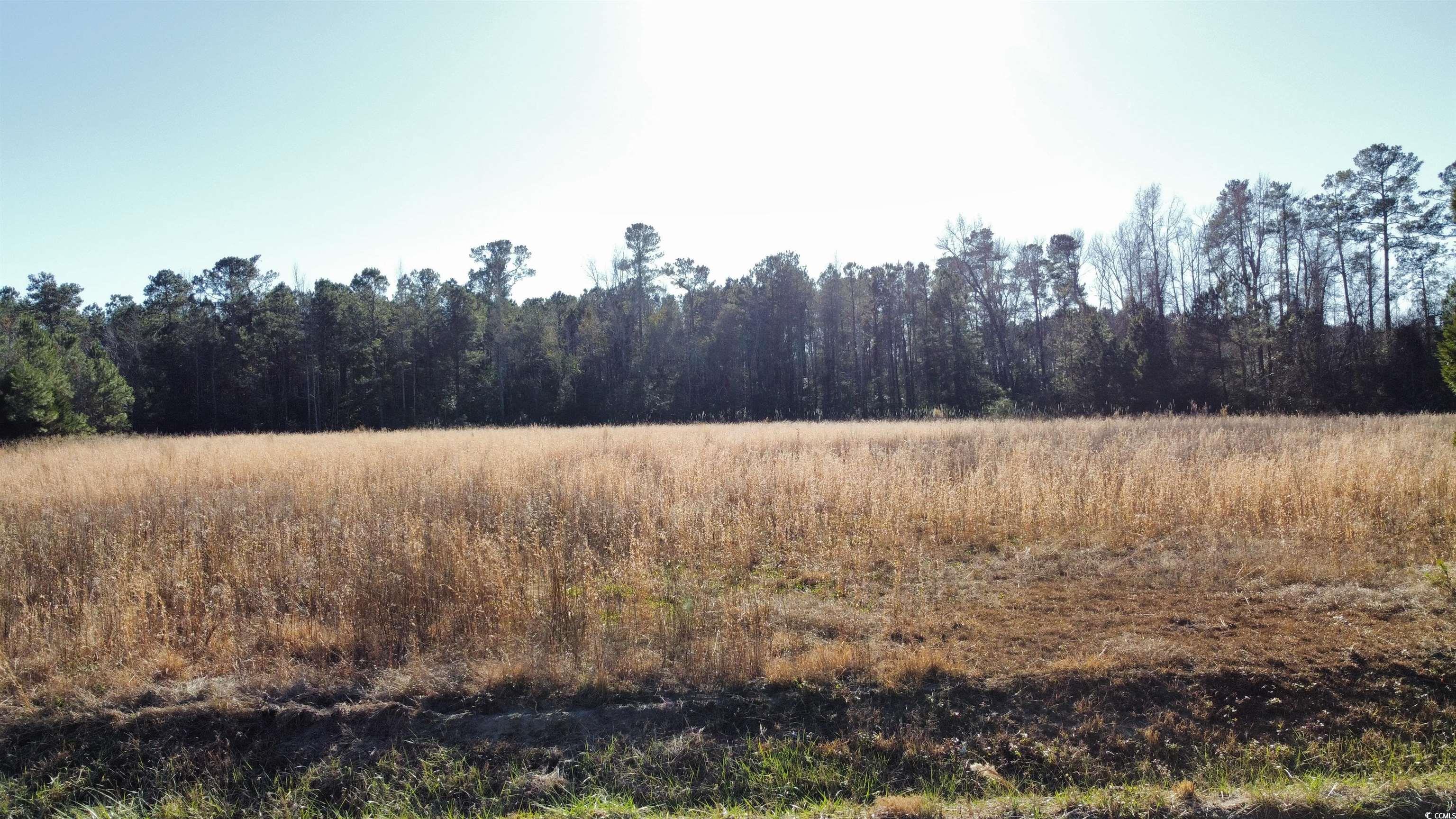 Tbd Powell Lane Loris, SC 29569 - Photo 2 of 8 Gallery Image 2