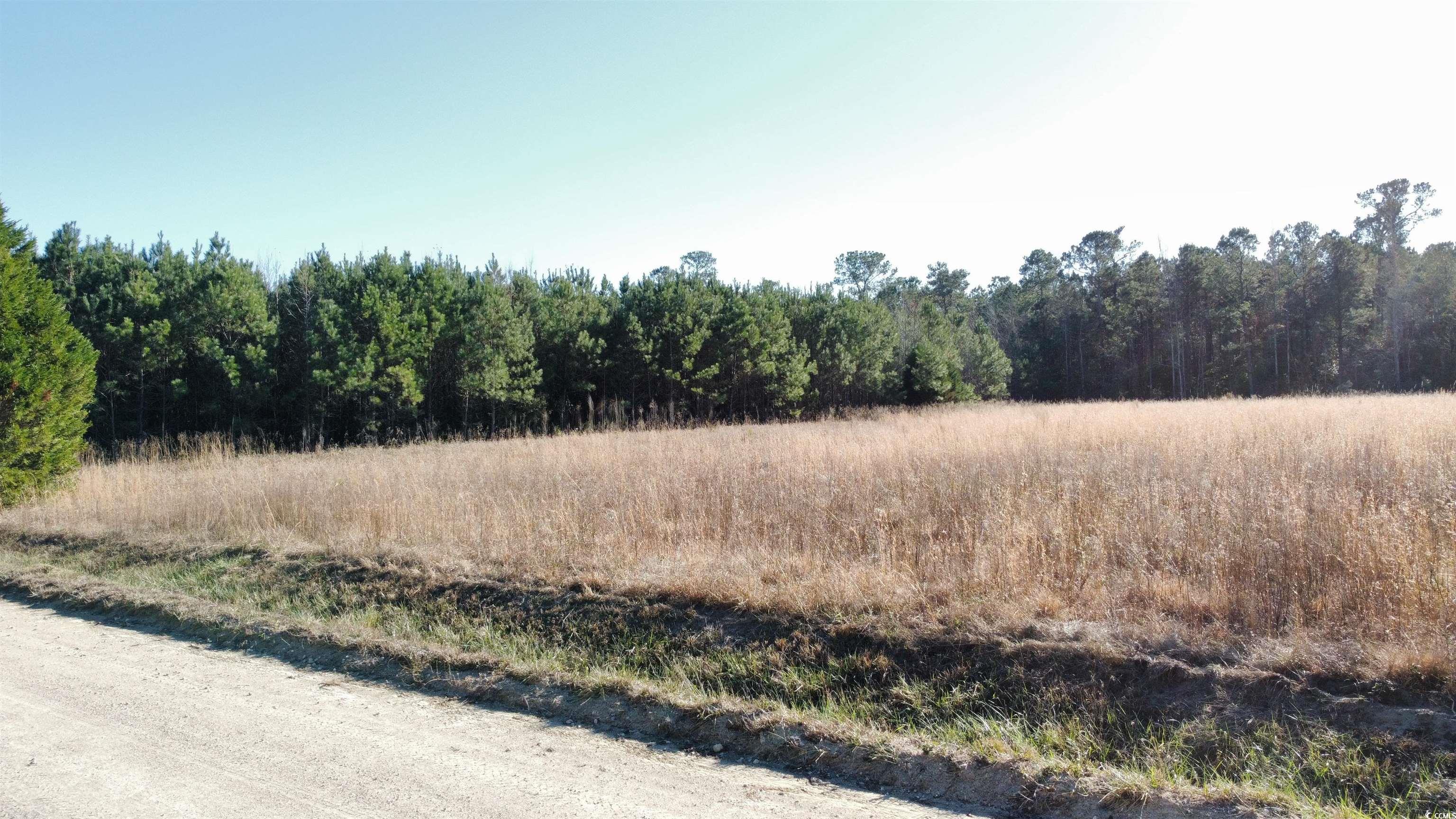 Tbd Powell Lane Loris, SC 29569 - Photo 3 of 8 Gallery Image 3
