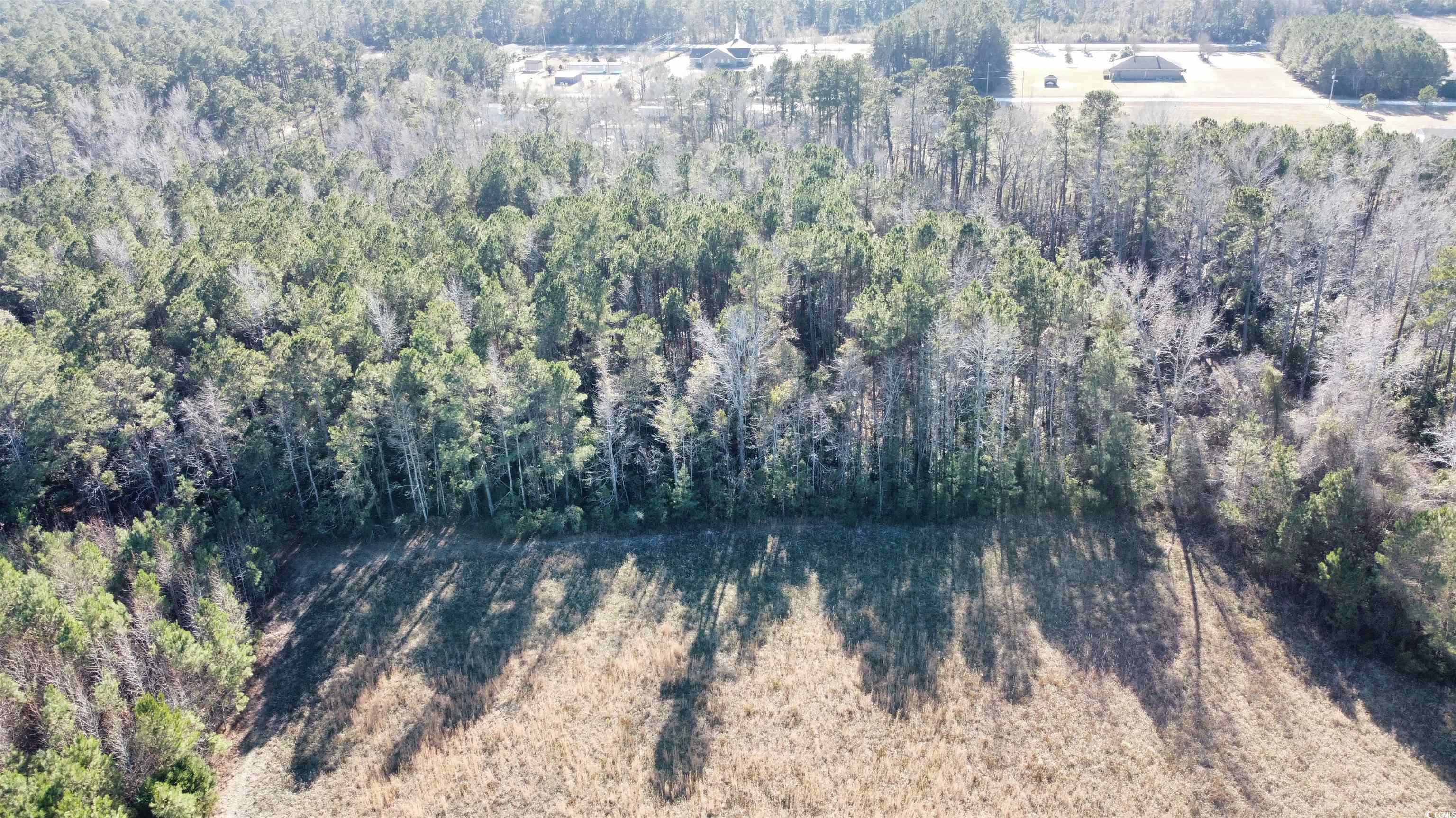 Tbd Powell Lane Loris, SC 29569 - Photo 4 of 8 Gallery Image 4