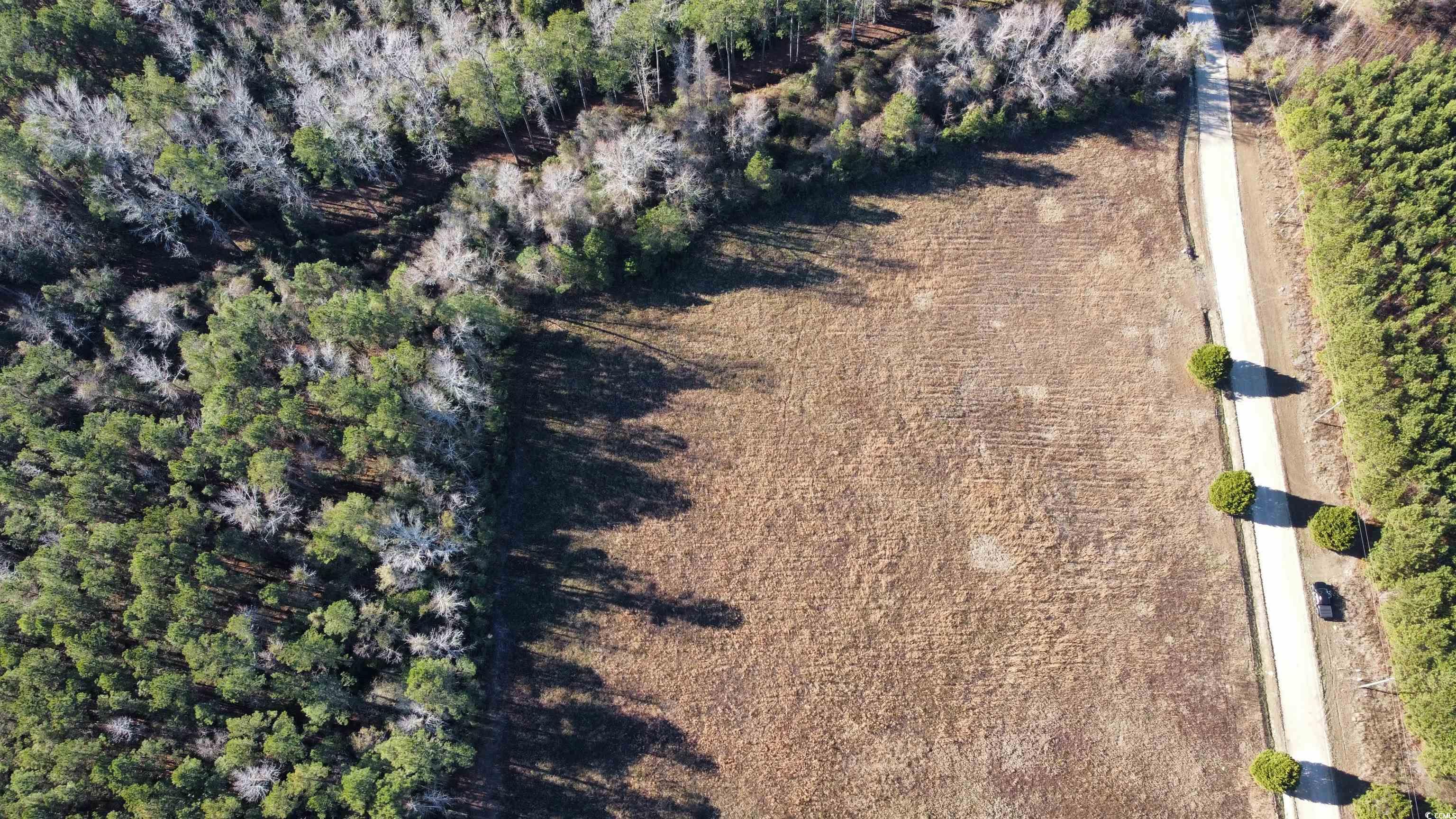 Tbd Powell Lane Loris, SC 29569 - Photo 5 of 8 Gallery Image 5
