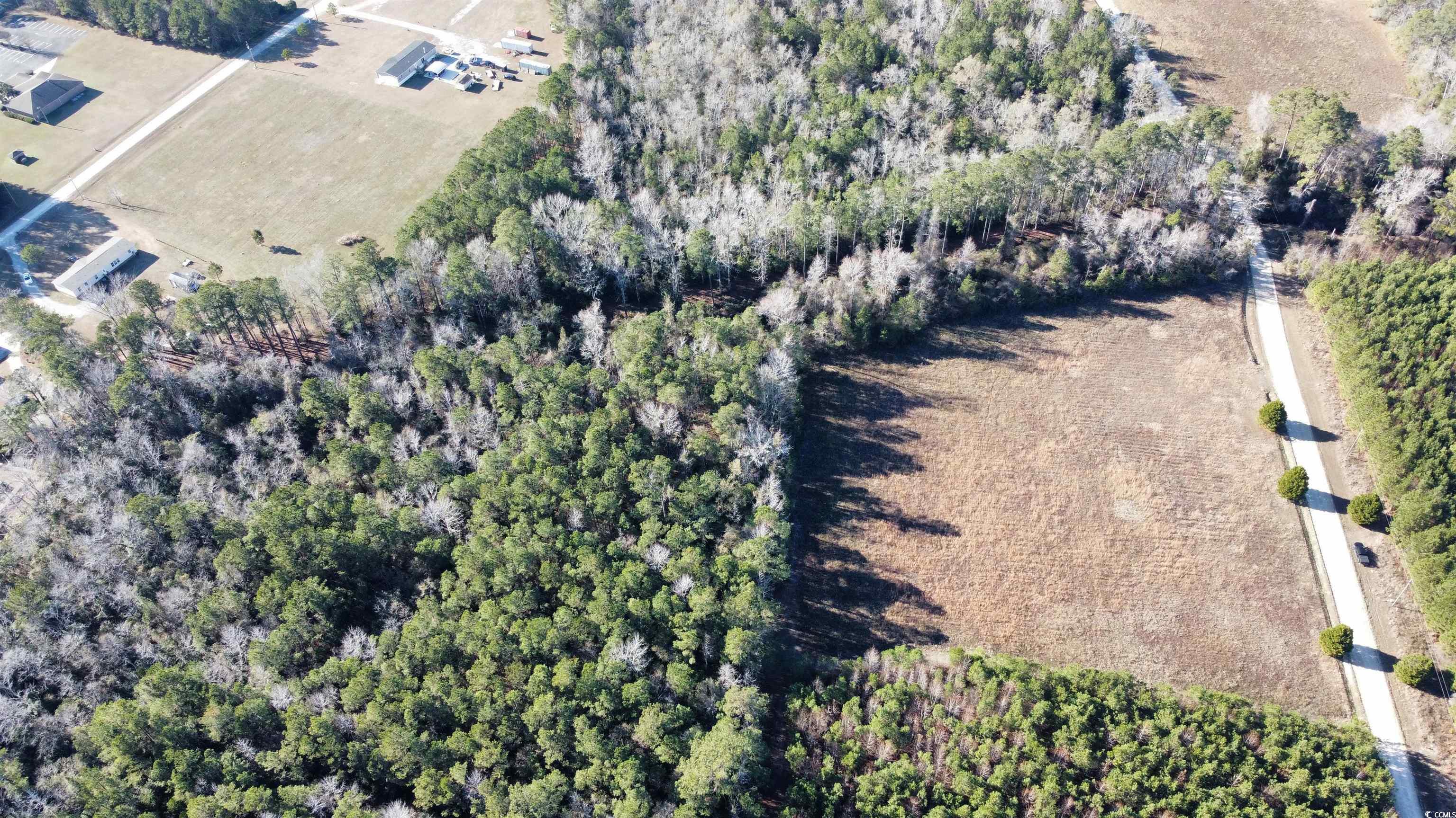 Tbd Powell Lane Loris, SC 29569 - Photo 6 of 8 Gallery Image 6