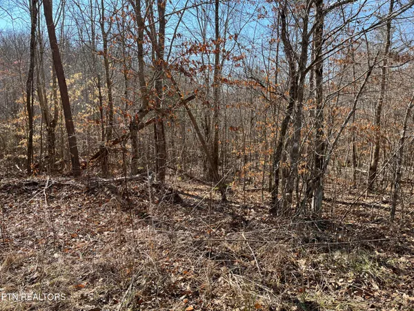 $325,000 | 120.43-ac East Mill Creek Road, Sunbright, TN 37872