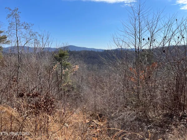 $325,000 | 120.43-ac East Mill Creek Road, Sunbright, TN 37872