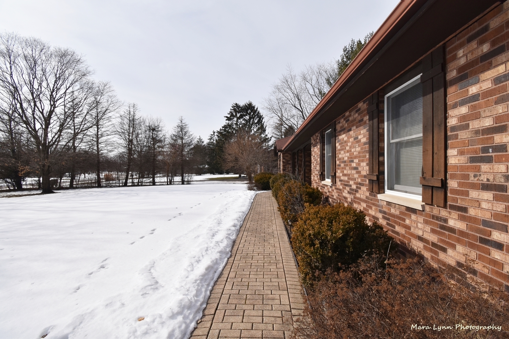 36W818 Oak Road St. Charles, IL 60175 - Photo 44 of 46 a view of house with yard covered in snow