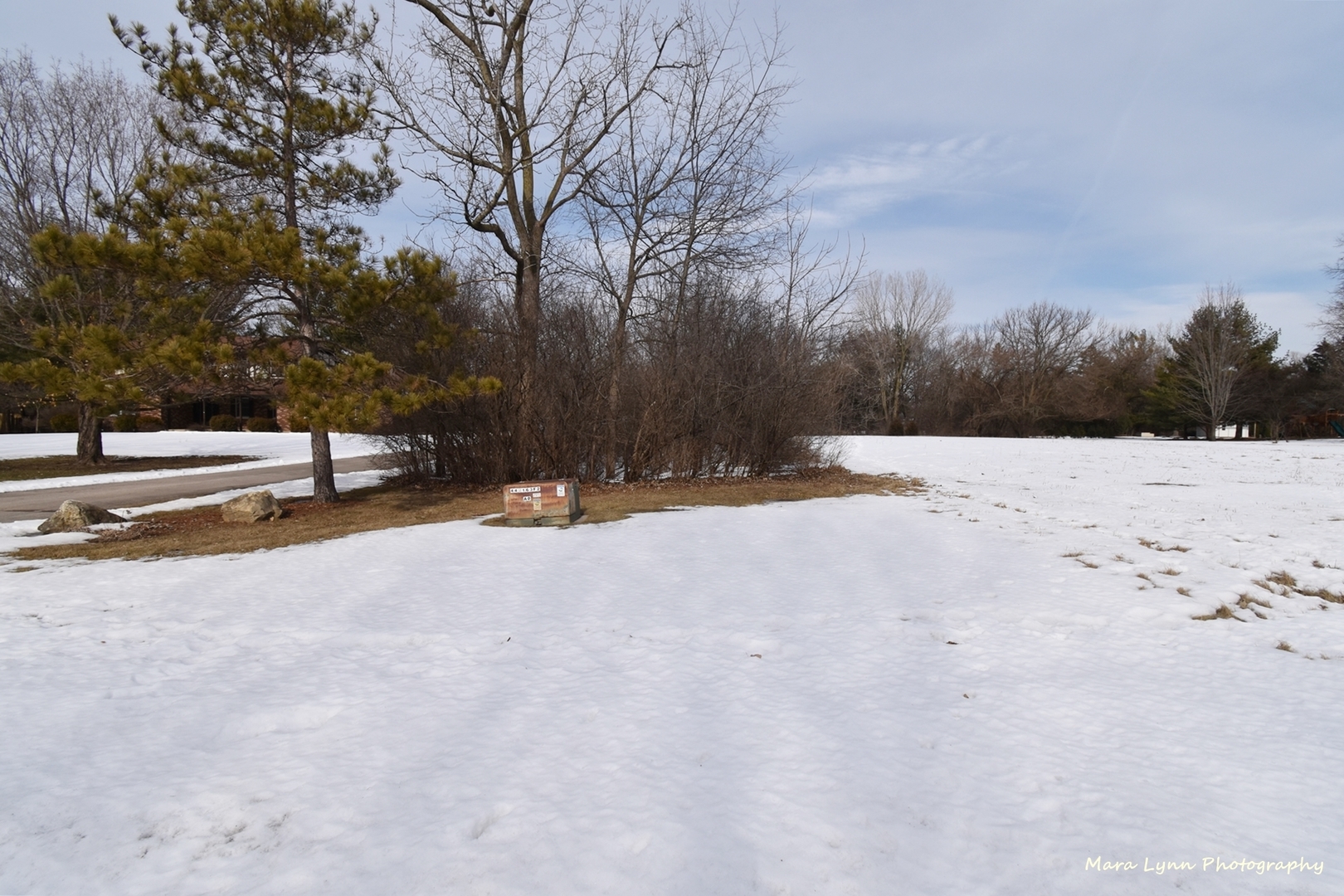 36W818 Oak Road St. Charles, IL 60175 - Photo 45 of 46 a view of outdoor space with trees