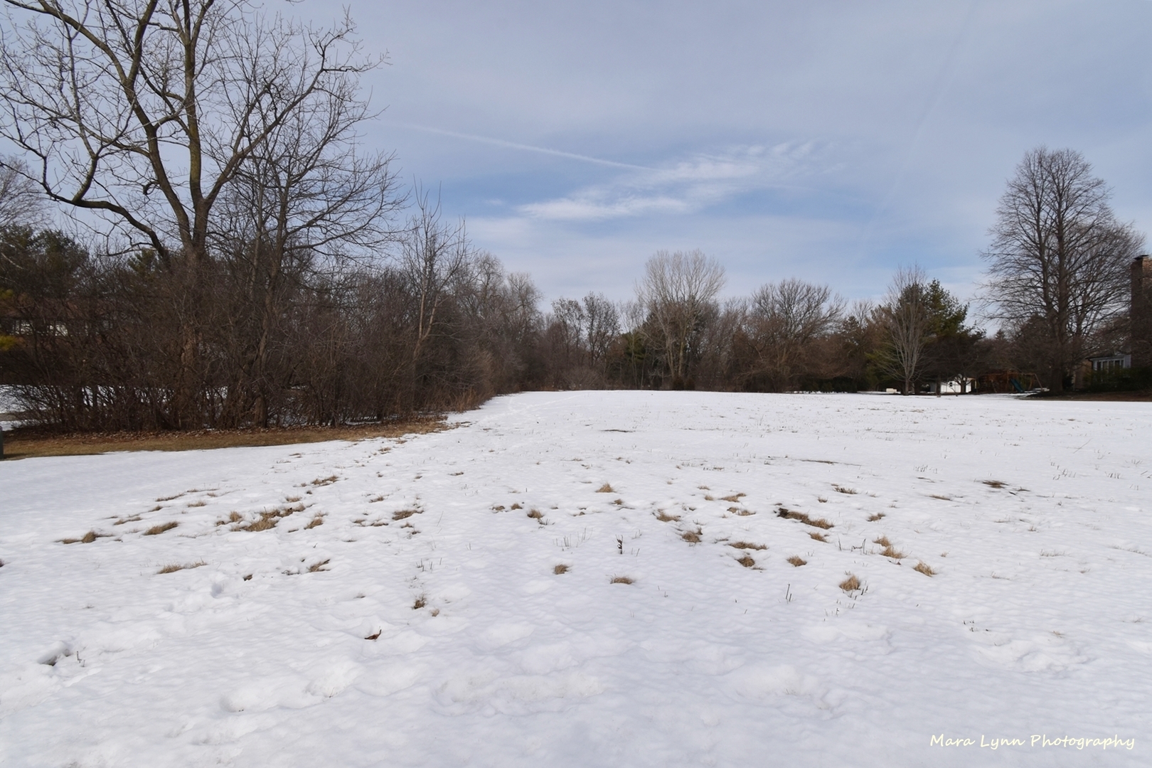 36W818 Oak Road St. Charles, IL 60175 - Photo 46 of 46 a view of snow yard