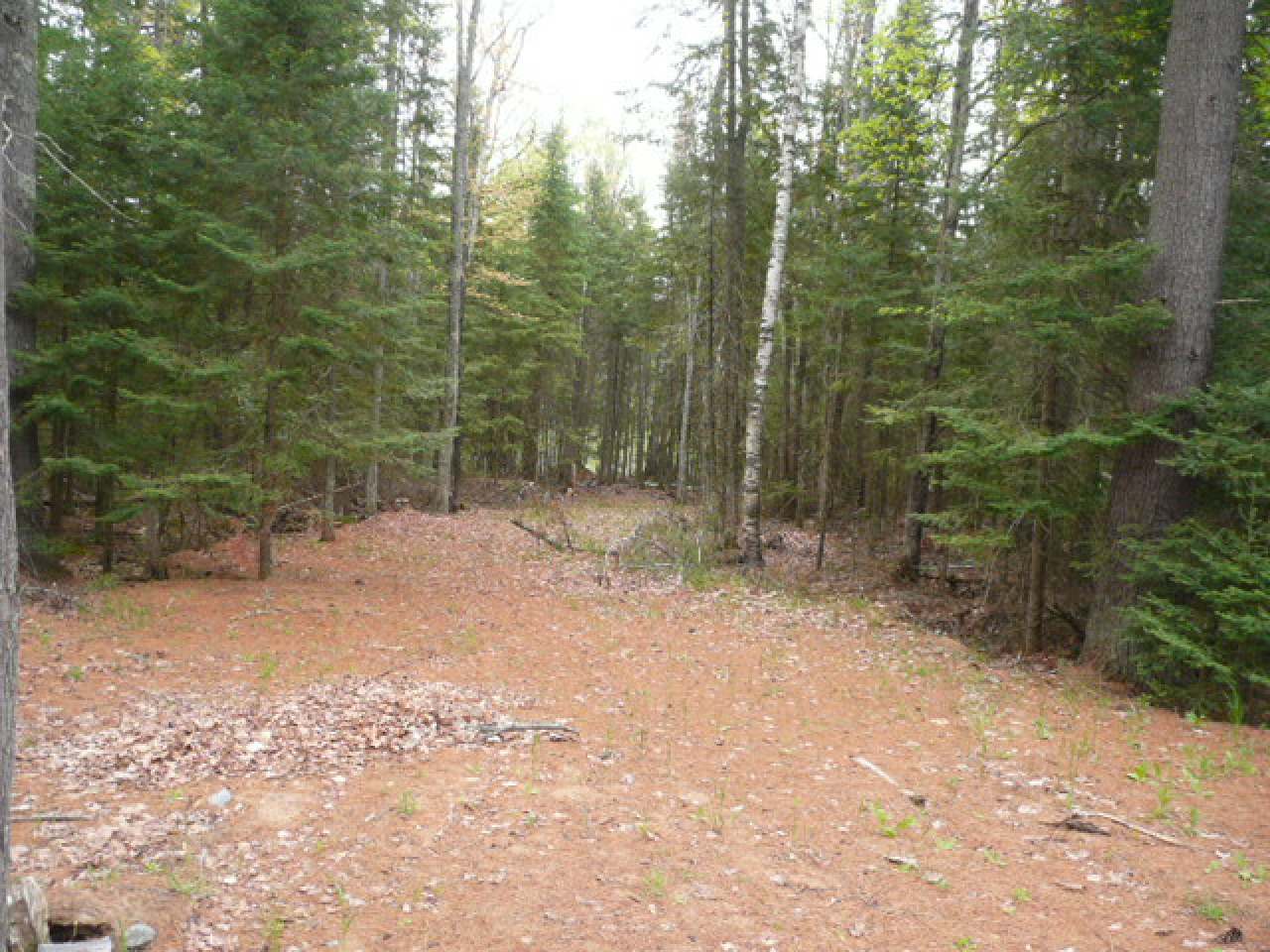 On Herdner Road Eagle River, WI 54521 - Photo 4 of 20 Gallery Image 4