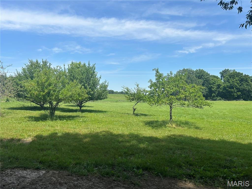 4243 Bushy Prairie Road Waterloo, IL 62298 - Photo 9 of 15
