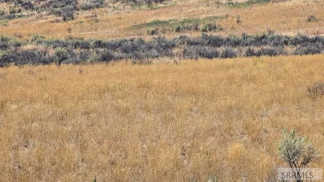 $240,000 | 3100 West 1700 South, Aberdeen, ID 83210