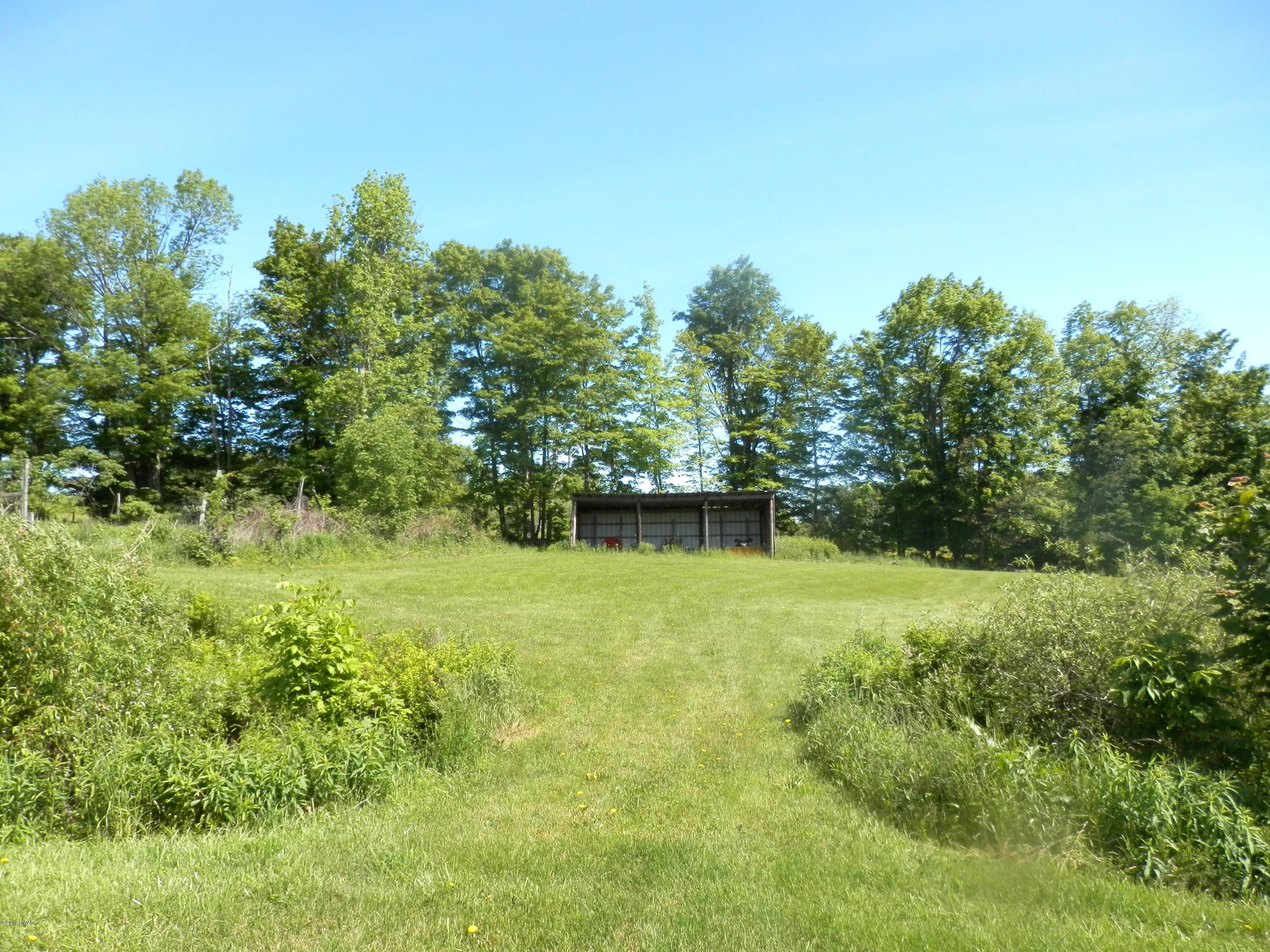 182 Cribbs Road Pleasant Mount, PA 18453 - Photo 22 of 39 P6070072