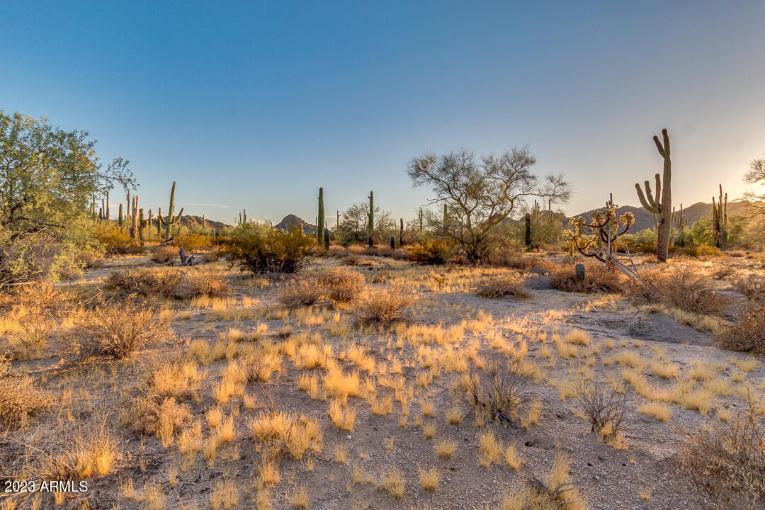 0 West Cardinal Road Maricopa, AZ 85139 - Photo 1 of 30 01-Cardinal