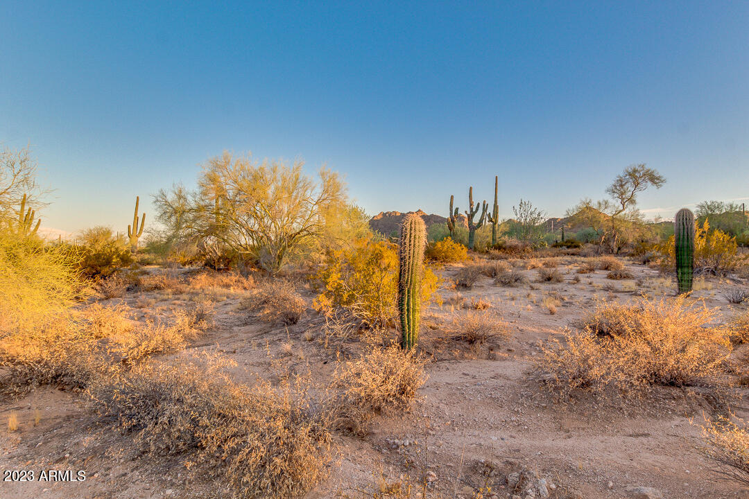 0 West Cardinal Road Maricopa, AZ 85139 - Photo 2 of 30 02-Cardinal