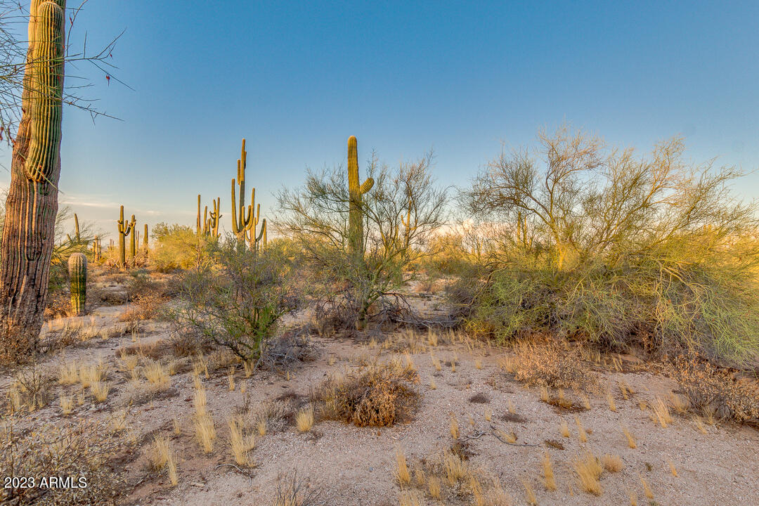 0 West Cardinal Road Maricopa, AZ 85139 - Photo 6 of 30 06-Cardinal
