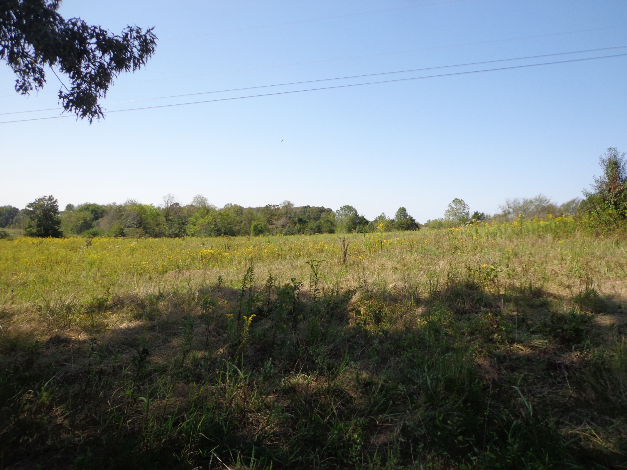 0 Dady Road McEwen, TN 37101 - Photo 2 of 5